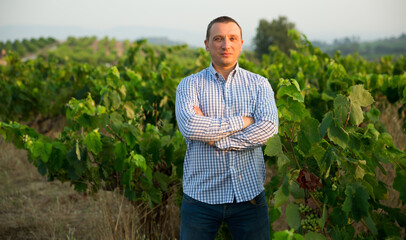 Man proffesional winemaker standing near grapes in vineyard at summer