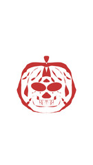 pumpkin illustration with scary skull face. very suitable for halloween celebrations
