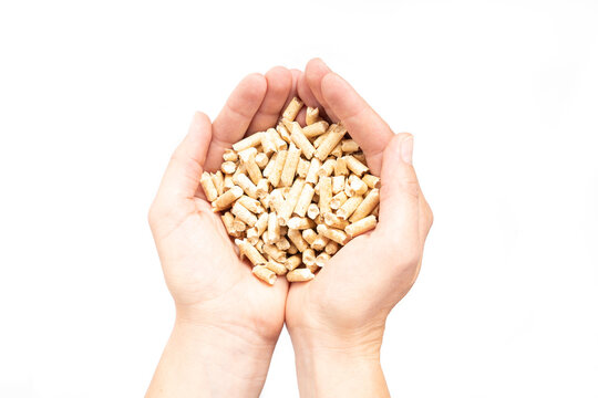 Two hands that hold natural wood pellets. Alternative natural energy