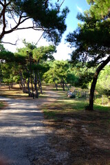 path in the park