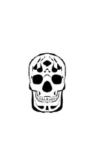 pumpkin illustration with scary skull face. very suitable for halloween celebrations