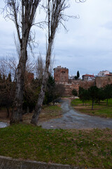 ruins of castle
