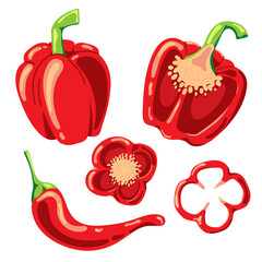 Paprika and Red hot chili pepper on white background. Isolated vector illustration