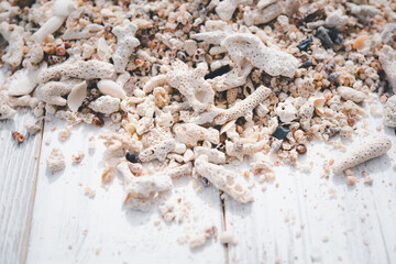 Summer background,reef and sea shell on white wood table