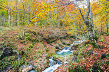 Autumn. Explosion of colors on the waterfalls and streams of the Val d'Arzino.