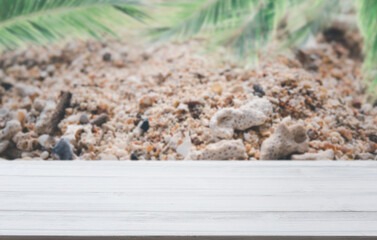 White wooden planks with blur beach on background and  palm leaves on foreground,summer concepts.