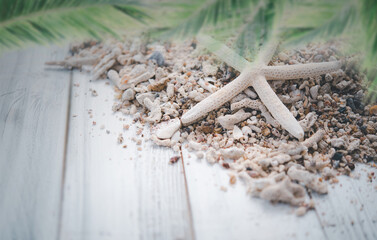 White wooden planks with star fish and sea shell  on background and  palm leaves on foreground,summer concepts.
