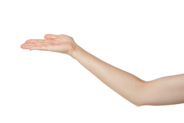 a woman's hand holding her palm up.