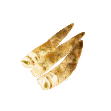 Watercolor Illustration of three spring bamboo shoots, a common ingredient in China, isolated on white background.