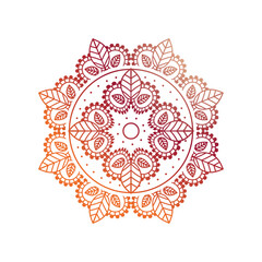gradient floral mandala on white background