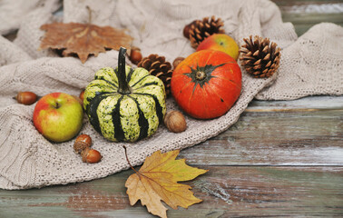 Pumpkins, apples, nuts, leaves, cups and sweater on wooden background.