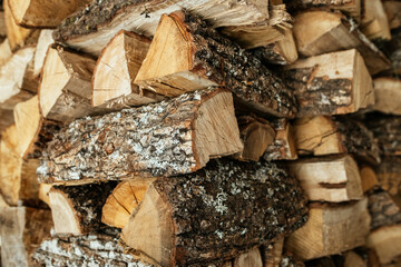 Stack of firewood for winter