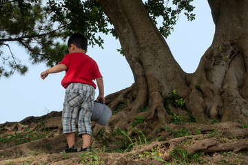 ガジュマルの木の下で休憩をする子供