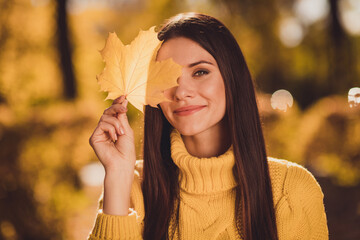 Close up portrait of cheerful girl enjoy travel rest relax autumn forest grove close cover face maple leaf wear jumper pullover