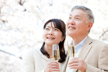 花見をするシニア夫婦