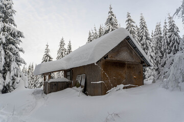 Wooden house in winter mountain forest