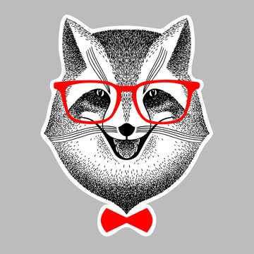 portrait of a fox in red glasses and bow-tie. Fox hipster style. Stylized fox smiles for poster, print, t-shirt. Liar, Dodger, mischievous, deceiver.