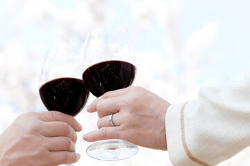 赤ワインで乾杯