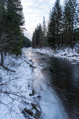River running through the winter forest