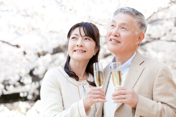 花見をするシニア夫婦