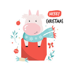 Funny cow in a scarf sitting in a gift box. Merry Christmas postcard