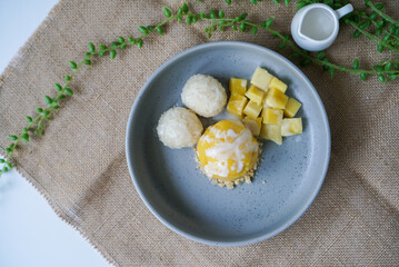 Mango sticky rice with ice cream. A plate of mango fruit ice cream served with sticky rice and fresh mango with coconut milk. (top view)