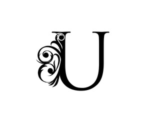 Calligrapic letter U. Graceful royal style. Luxury alphabet arts logo. Vintage drawn emblem for book design, brand name, stamp, Restaurant, Boutique, Hotel.