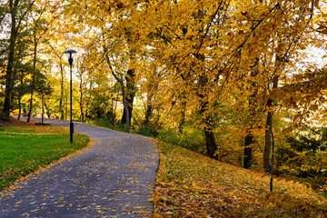 Fototapeta na wymiar sunny day in golden autumn park, Prague.