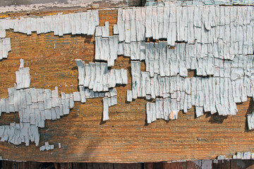 Old wooden texture with peeling paint , Old wooden background with remains of pieces of scraps of old paint on wood. Texture of an old tree, board with paint, vintage background peeling paint. old