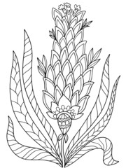  flower fairy plant coloring isolate on white background illustration for book black and white image with herbal elements anti stress vector graphics print for textile stroke doodle sketch abstract