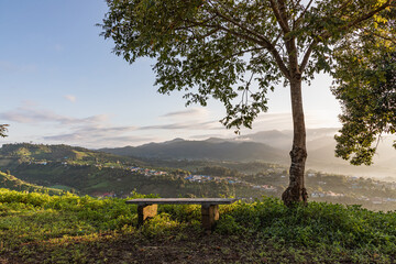View of empty bench under tree on village mountain