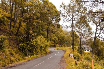 Fototapeta premium road in autumn