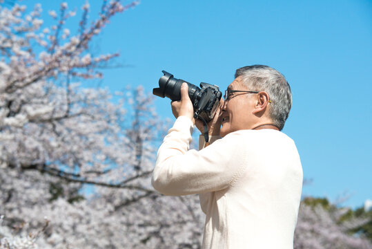 桜の写真を撮るシニア男性