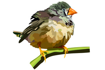 vector image of a small bird with a yellow beak sitting on a branch