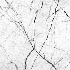 Obraz premium black and white marble background, marble texture, marble digital paper