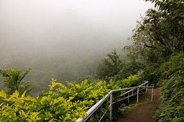 Fototapeta premium path in the mountains