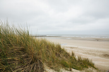 Dune with grass with beach and sea in the background