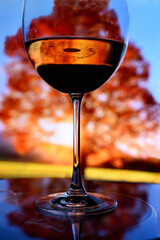 A glass with red wine on a background of bright autumn trees and sun rays. Artistic photo with soft selective focus.