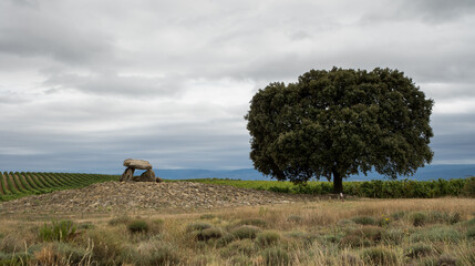 Dolmen de La Chabola de la Hechicera, Elvillar, País Vasco © jorge