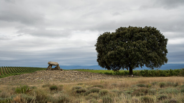 Dolmen de La Chabola de la Hechicera, Elvillar, Pa&iacute;s Vasco