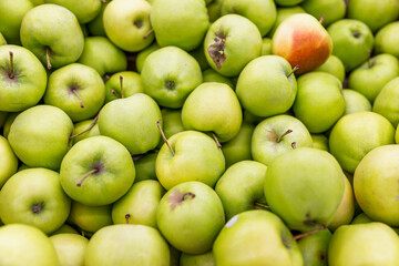 Lots of green apples for a box in the market. Background. Space for text.
