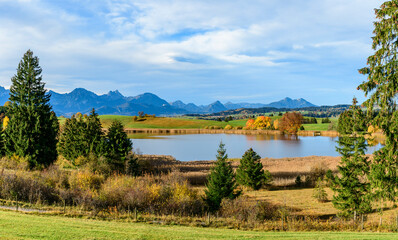 Fototapeta premium Bunte Herbstfarben im Ostallgäu am idyllischen Schapfensee
