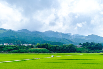 Fototapeta na wymiar landscape with mountains, clouds and a rice paddy field near Usuki, Japan
