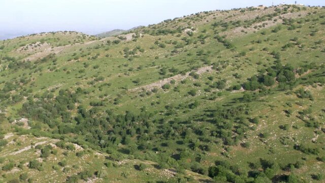 Mount Hermon Landscape, Arar valley and woodland, Israel
Long shot view, July, 2020
