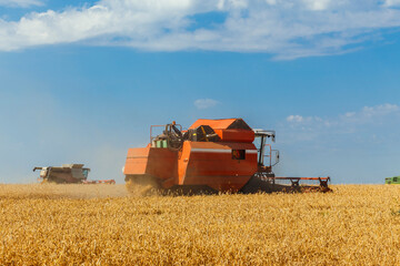 Two combines harvests ripe wheat in the grain field.