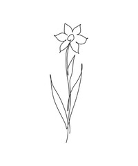 Single continuous line drawing minimalist beauty jasmine flower. Floral concept for posters, wall art, tote bag, mobile case, t-shirt print. Trendy one line draw design vector graphic illustration