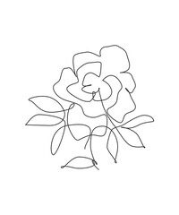 One single line drawing beauty rose flower vector illustration. Minimal tropical floral style, love romantic concept for poster, wall decor print. Modern continuous line graphic draw design