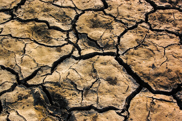 Cracked brown earth surface close-up