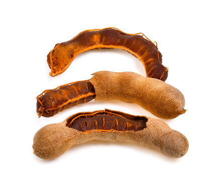 fresh tamarind fruits isolated on white background