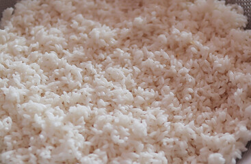 close up photo of small grain gobindobhog rice- special rice of west bengal india
